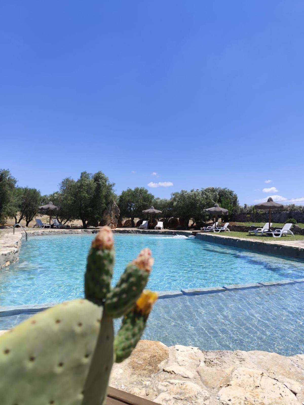 פרנקווילה פונטנה Masseria Palmo מראה חיצוני תמונה