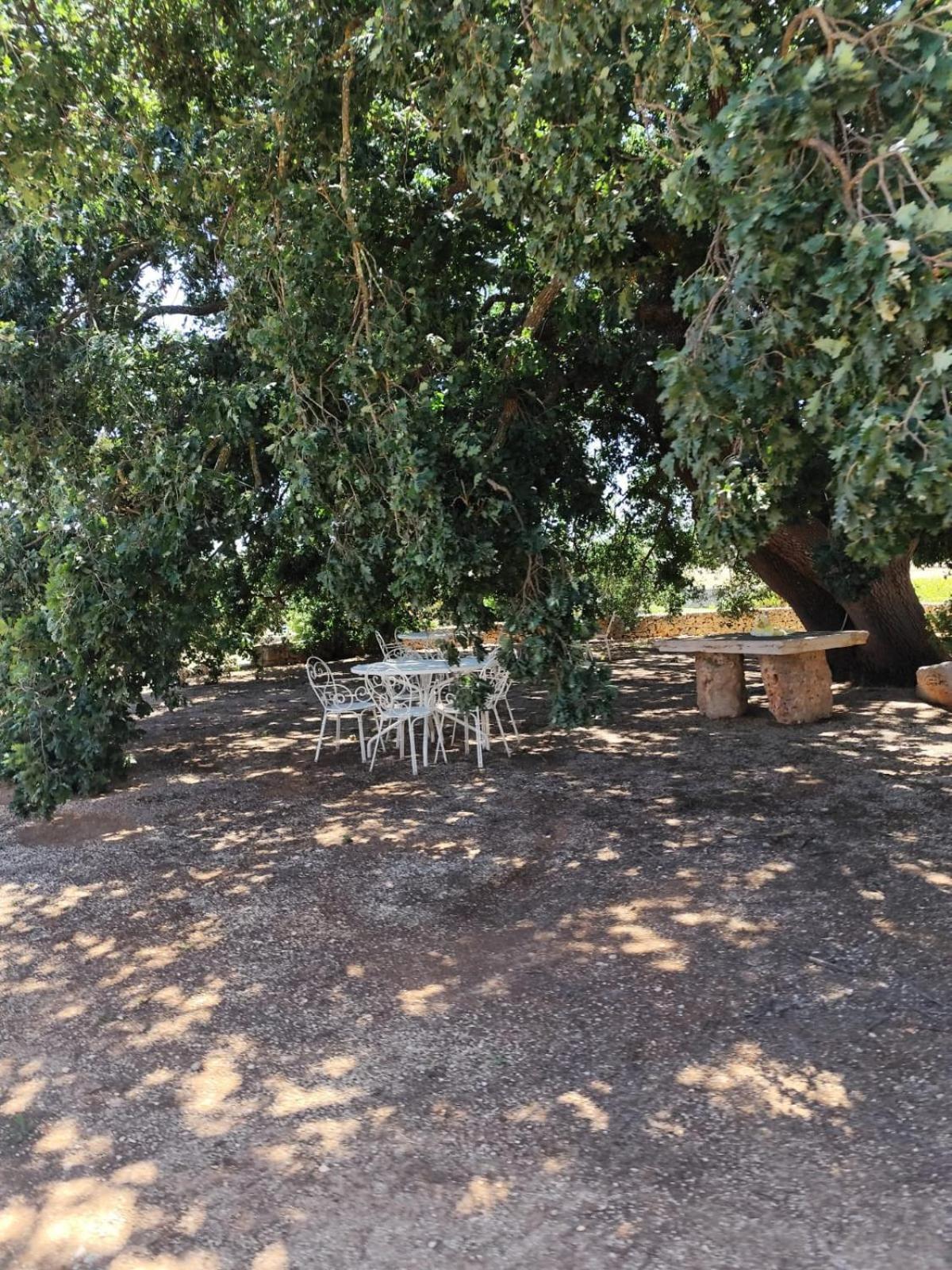 פרנקווילה פונטנה Masseria Palmo מראה חיצוני תמונה